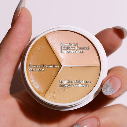 Pro Artist 6 in 1 Palette