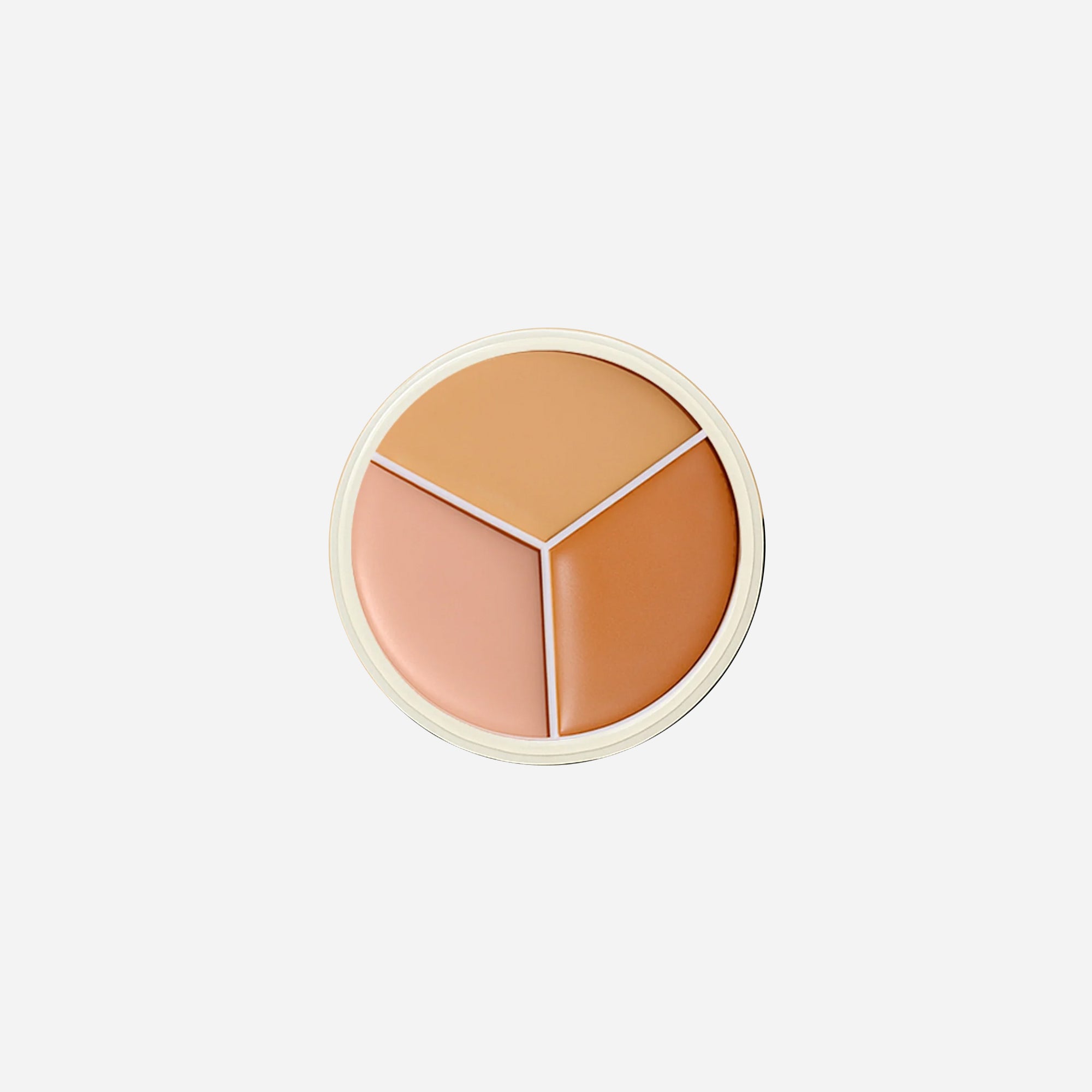 Pro Artist 6 in 1 Palette
