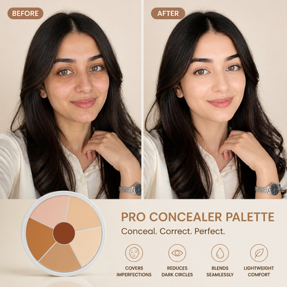 Pro concealer palette